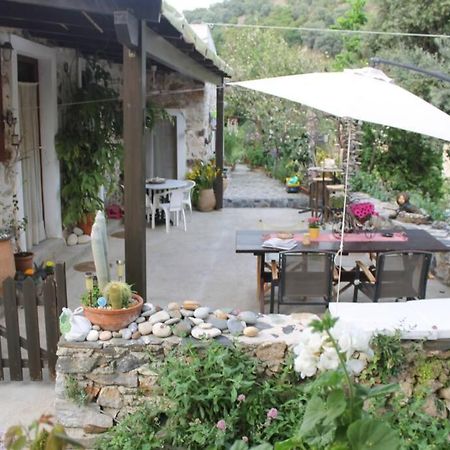 Olga'S Traditional Stone House, Palaiochora Kondokinigi Exterior photo