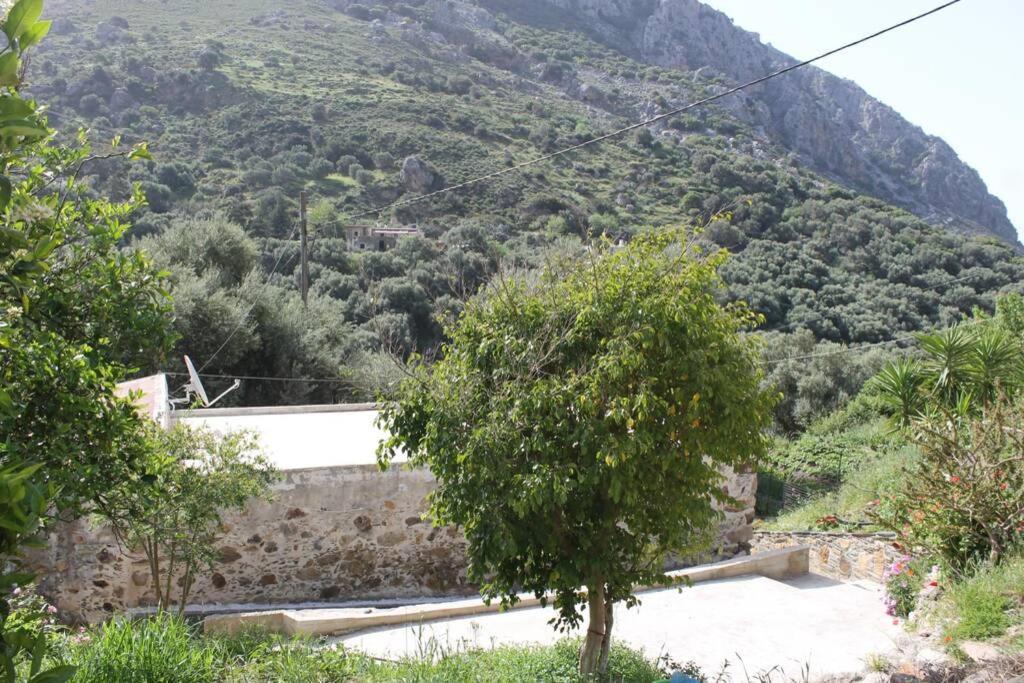 Olga'S Traditional Stone House, Palaiochora Kondokinigi Exterior photo
