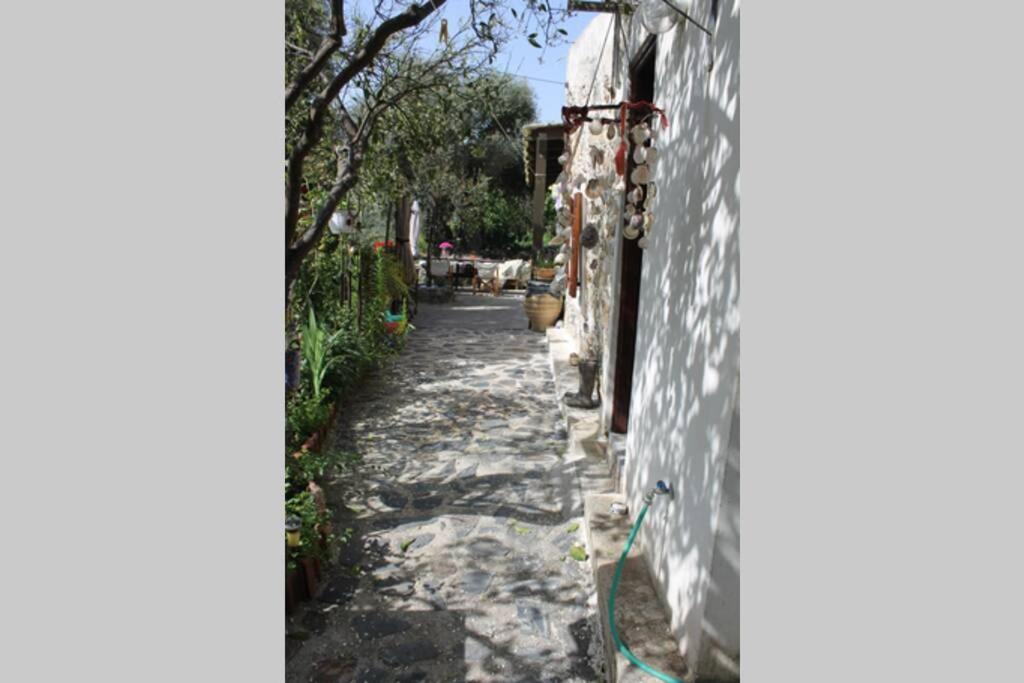 Olga'S Traditional Stone House, Palaiochora Kondokinigi Exterior photo