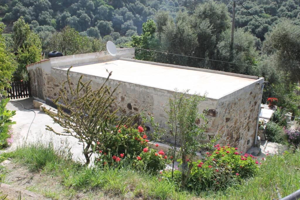 Olga'S Traditional Stone House, Palaiochora Kondokinigi Exterior photo