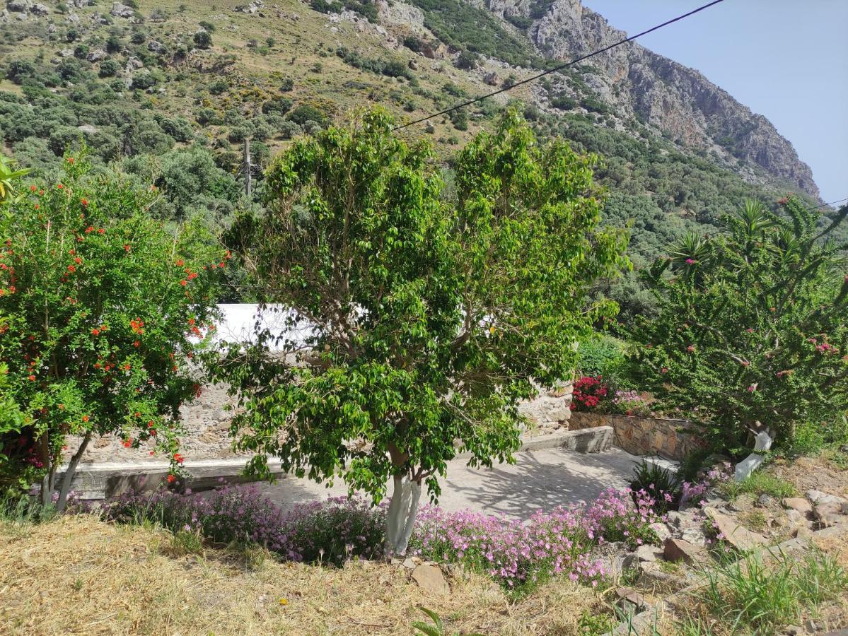 Olga'S Traditional Stone House, Palaiochora Kondokinigi Exterior photo